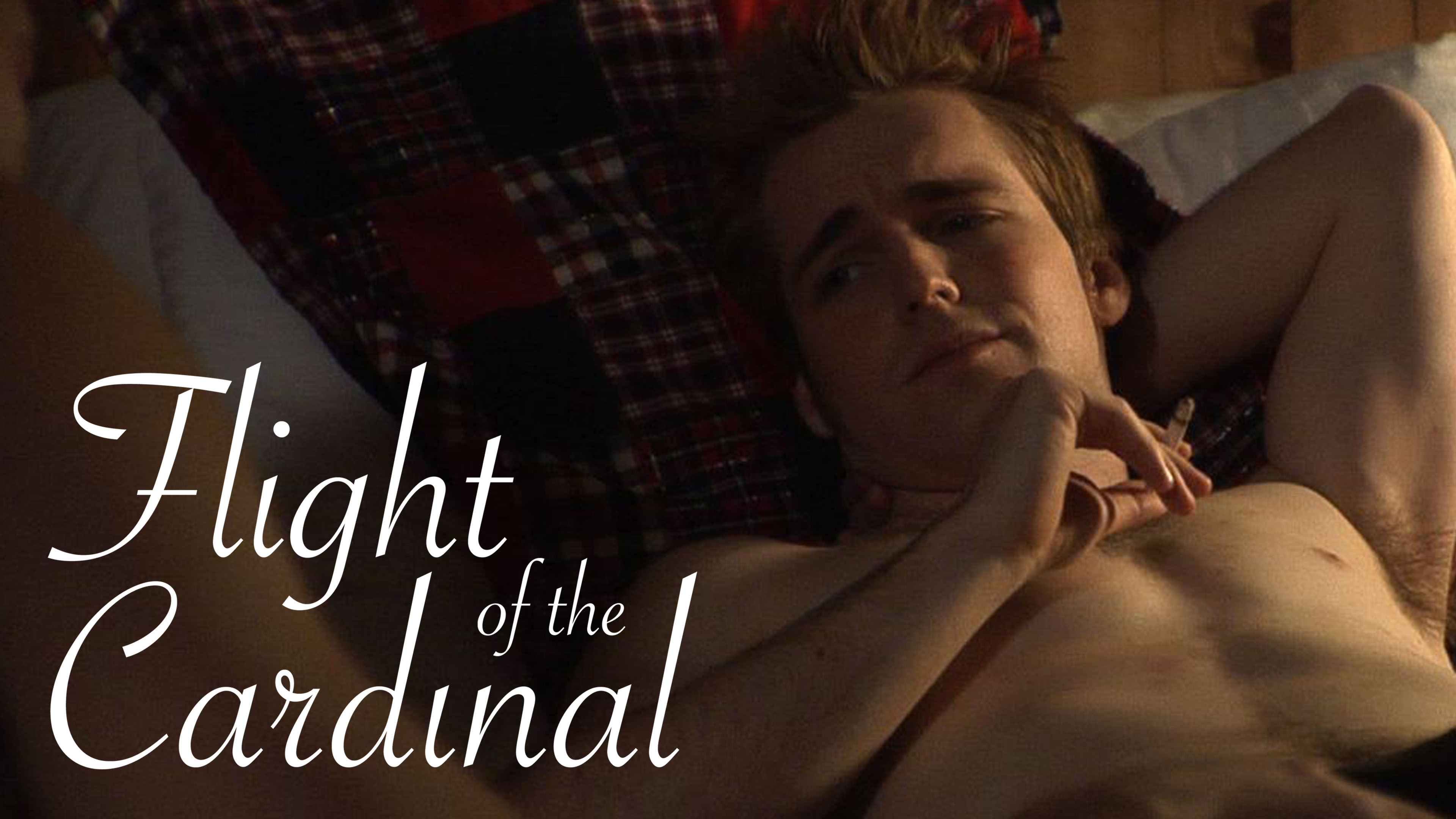 Flight of the Cardinal