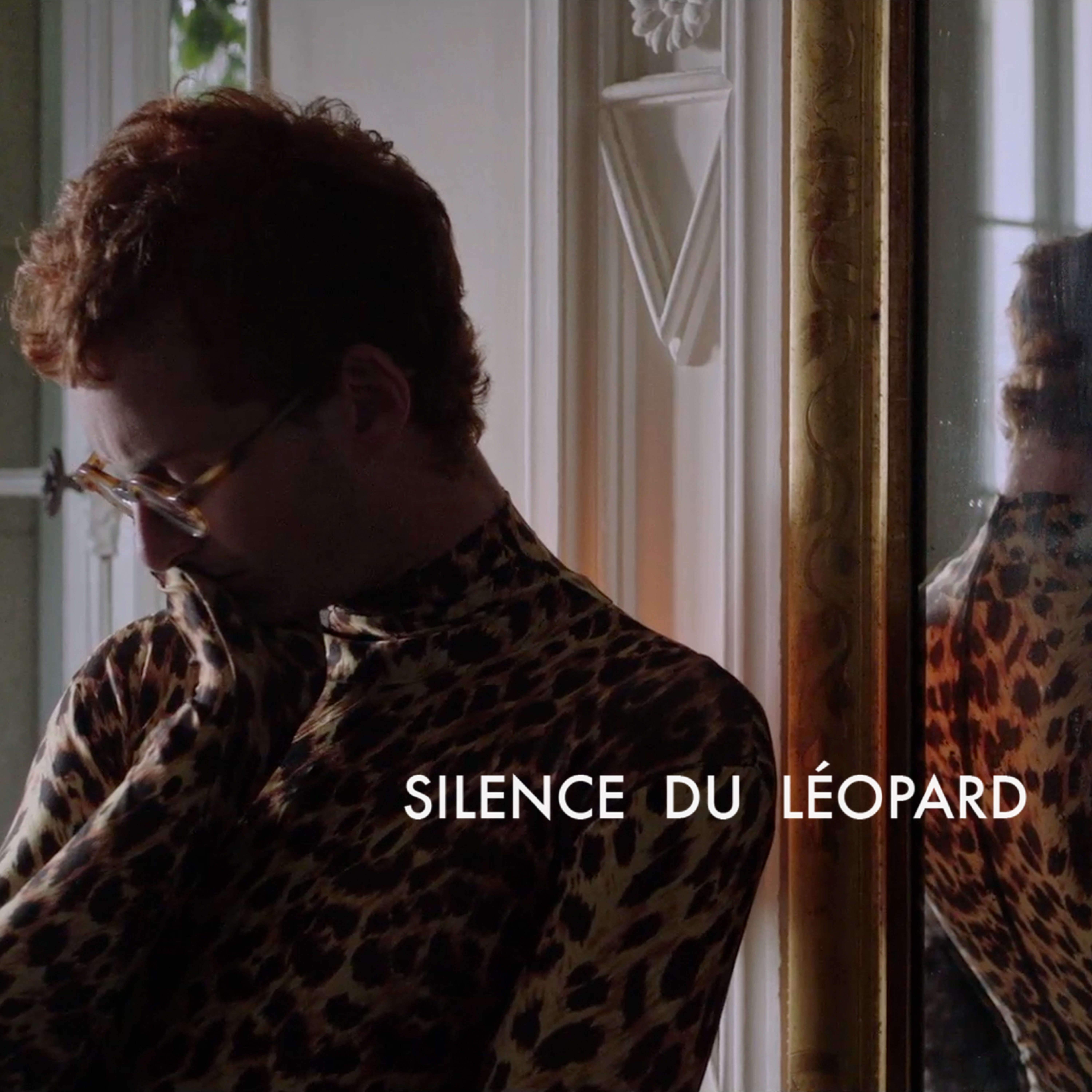 Silence Du Leopard