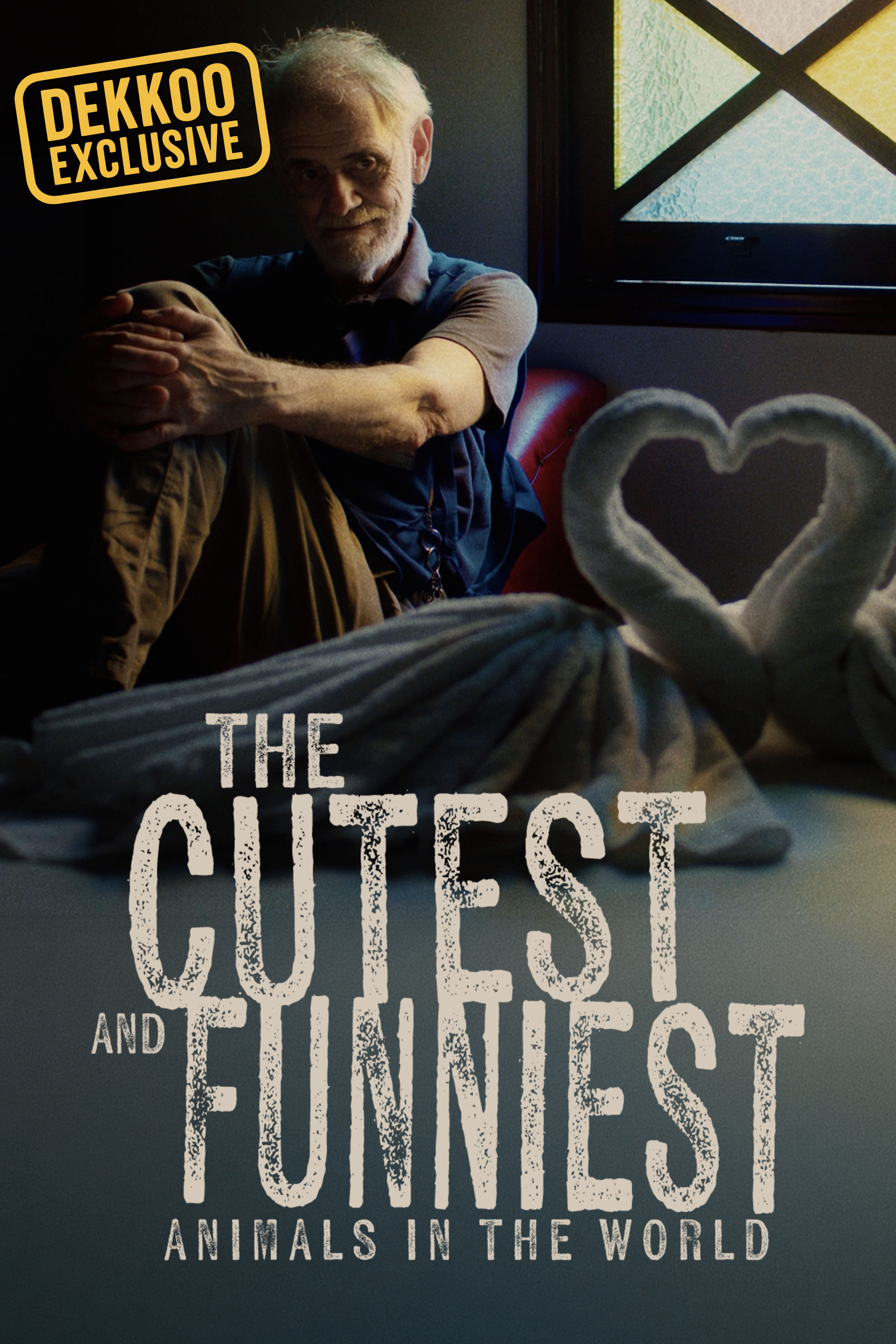 The Cutest and Funniest Animals In The World