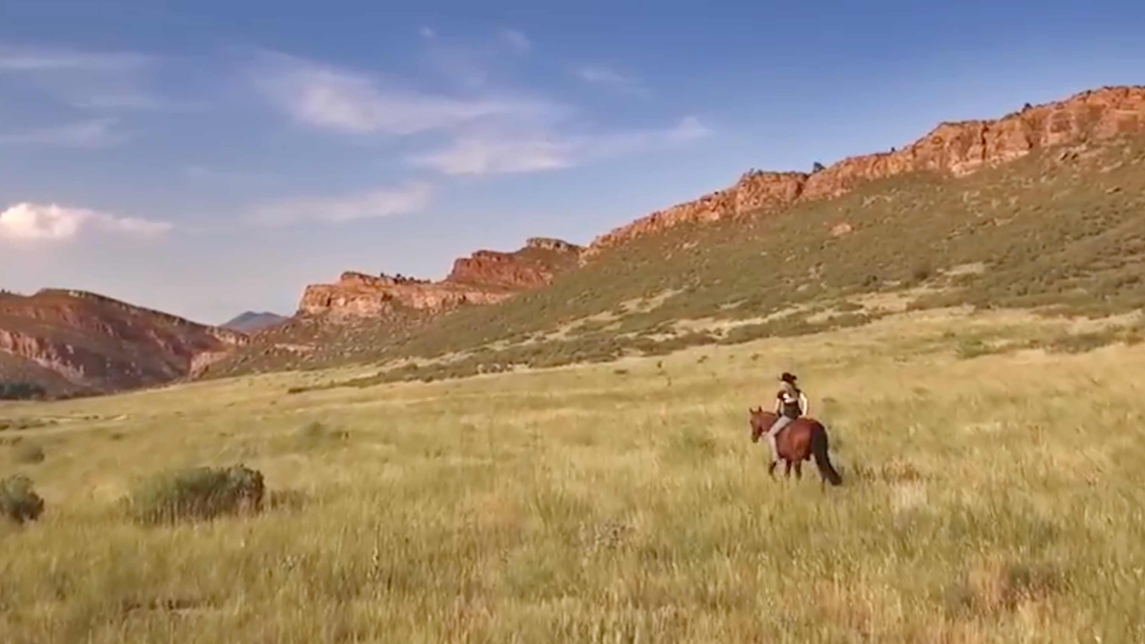 Hearts & Horses - The Science Behind the Magic