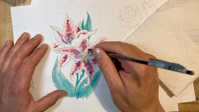 Timelapse Watercolor