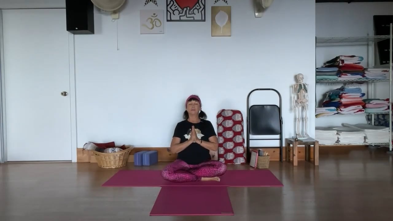2-13-23 Iyengar Yoga: Focus on softening the groins, pinning in hips, and spinal extension.