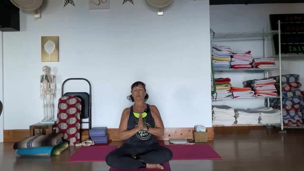 11-11-22 Iyengar Yoga: Wall support,balance actions in stretching/strengthening the legs/arms in forward bends and back bending.