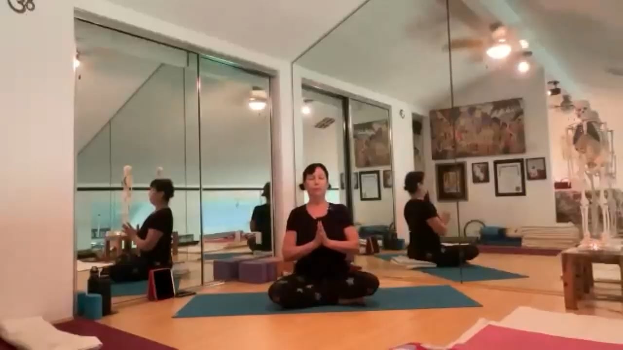 4-10-23  Iyengar Yoga: Focus on connecting hands/feet, sitting, standing, and inverting.