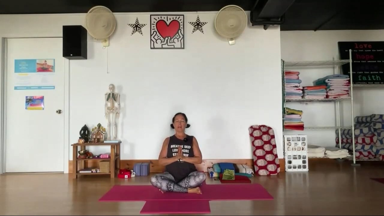 6-5-24 Iyengar Yoga: Focus on hands, feet, inner groins, and lifting pubis.