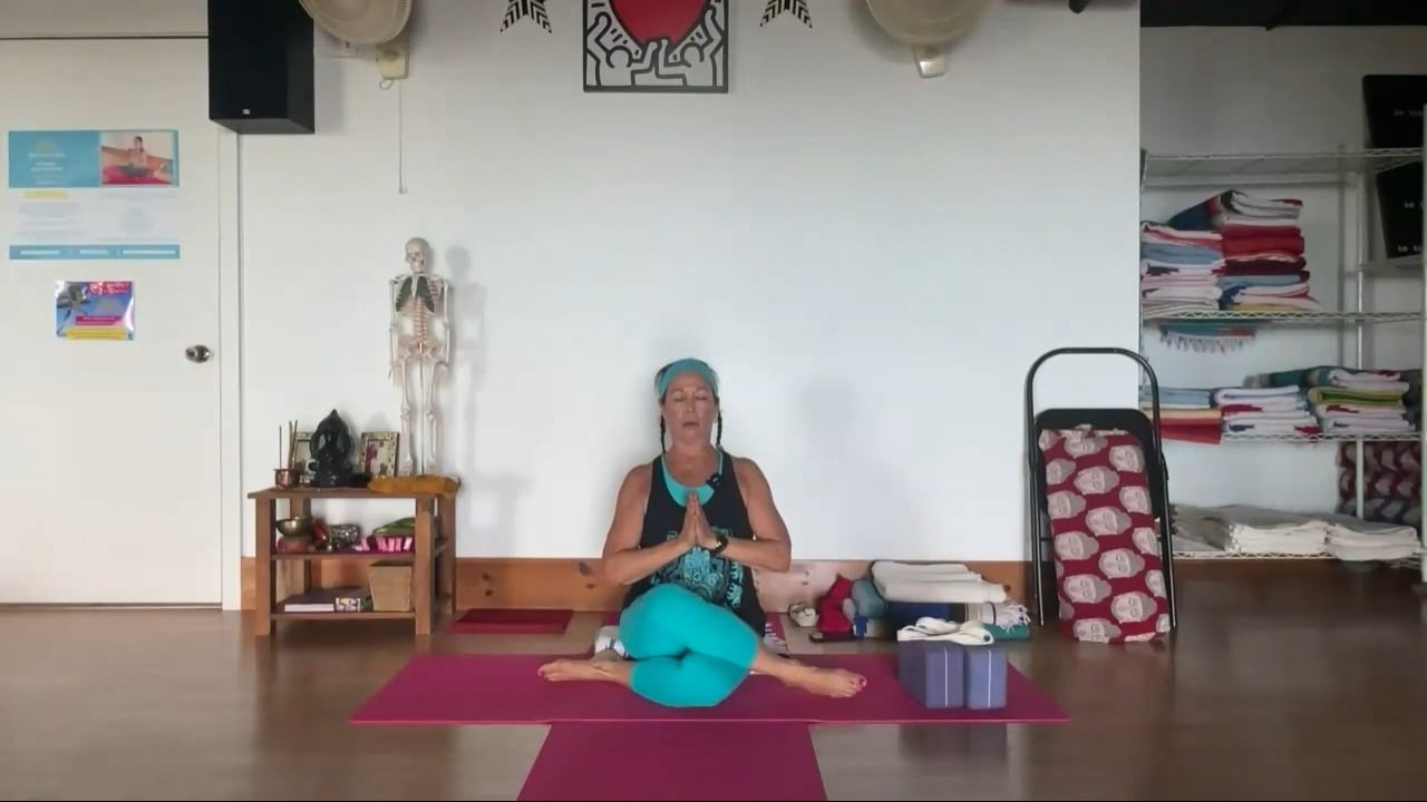 6-28-24  Iyengar Yoga: Focus on Tadasana strengthening the spine for back extensions to improve posture.