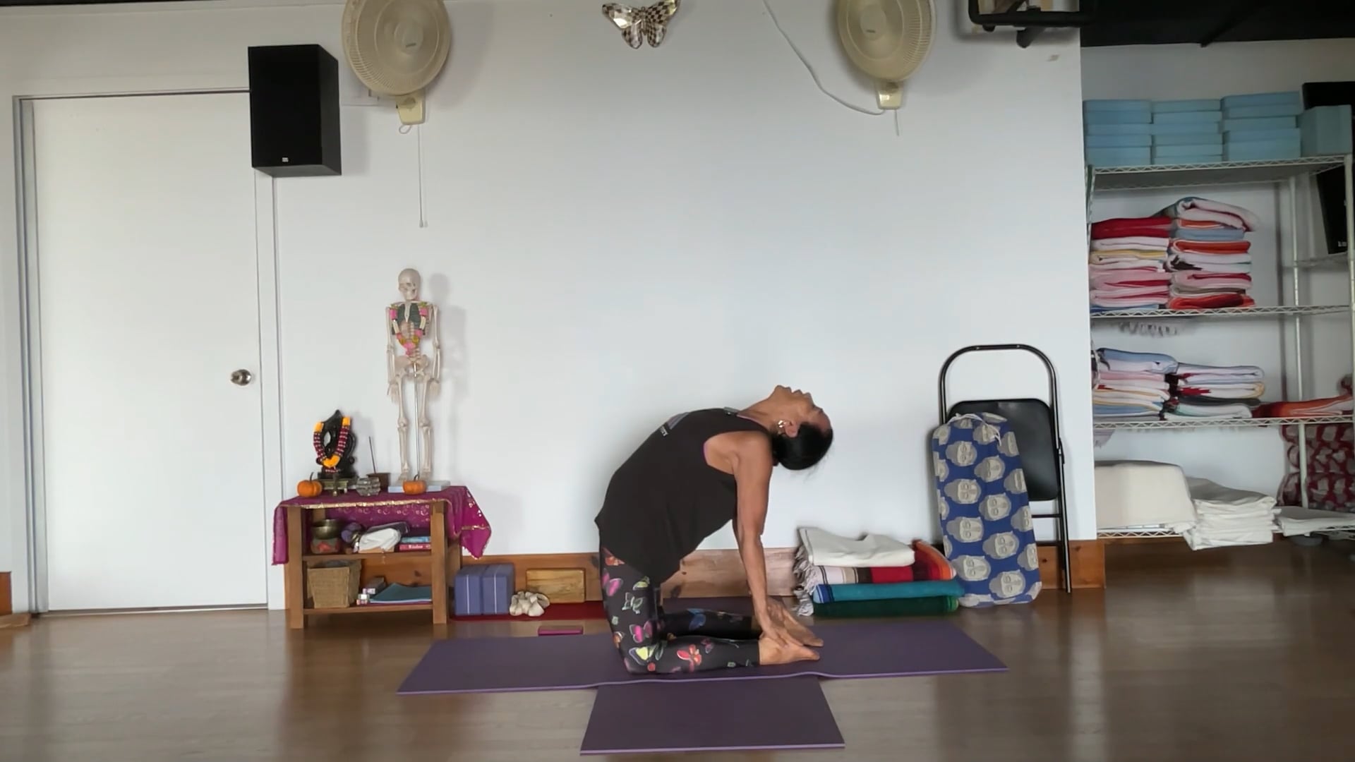 10-27-25 Iyengar Yoga: Slow Vinyasa, standing poses, knee positioning,side body extension, being centered.