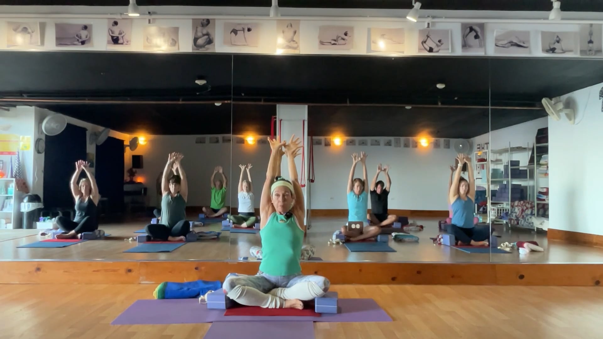 2-14-26 Iyengar Yoga Beginner: Organs for Action: arms and legs