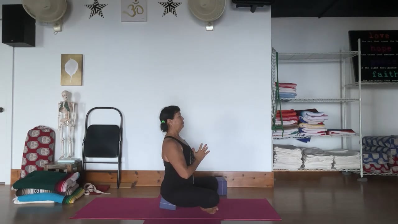 11-21-22 Iyengar Yoga: Focus on shoulder/pelvis symmetry with one legged poses, including standing, and inverting.