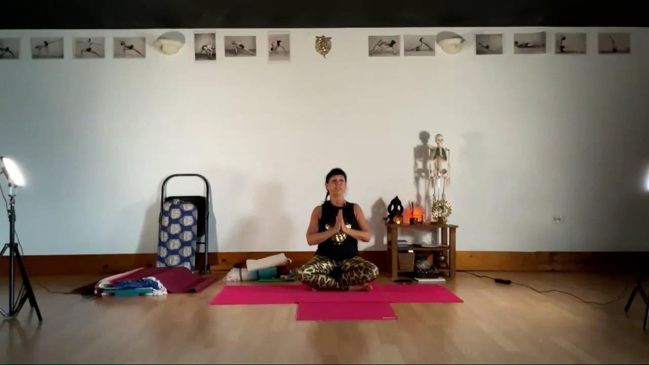 2-2-24 Iyengar Yoga: Focus on strengthening: abdominal, Ardha Chandrasana, Vira 1 and 3.