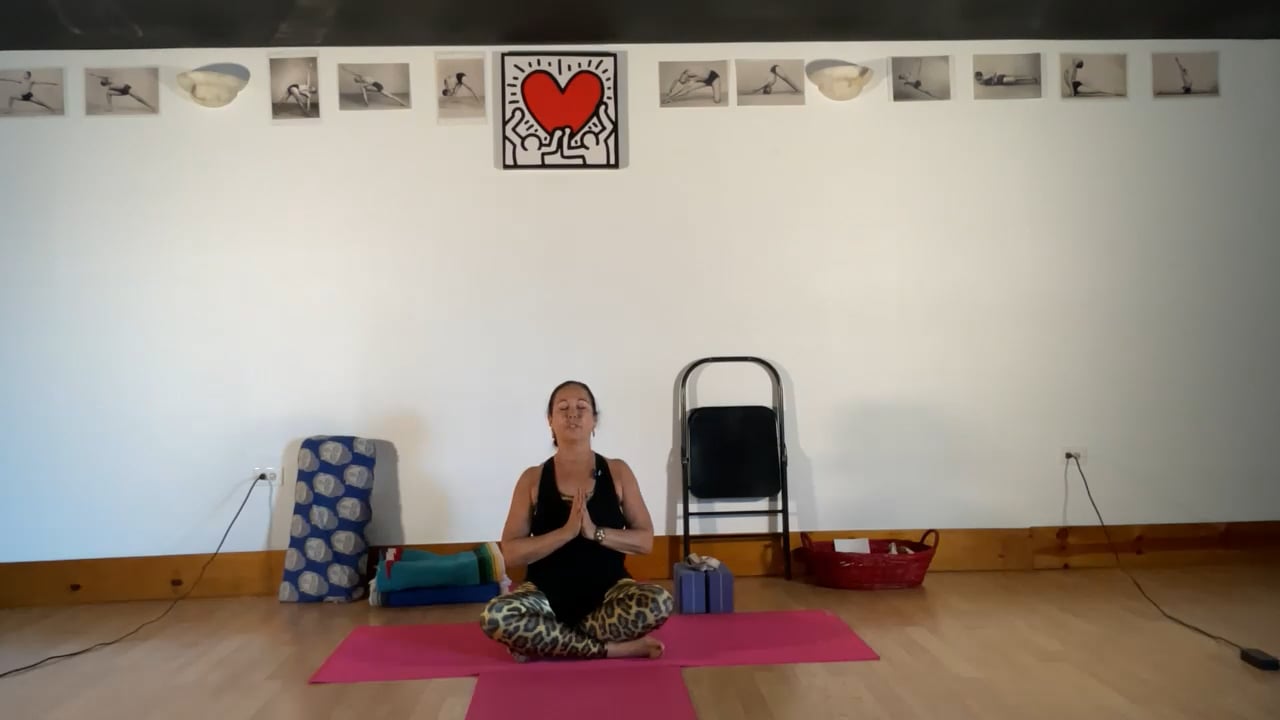 8-17-22 Iyengar Yoga: Connecting body-mind to standing/balance, supine, back bends, inversions, and relaxation.