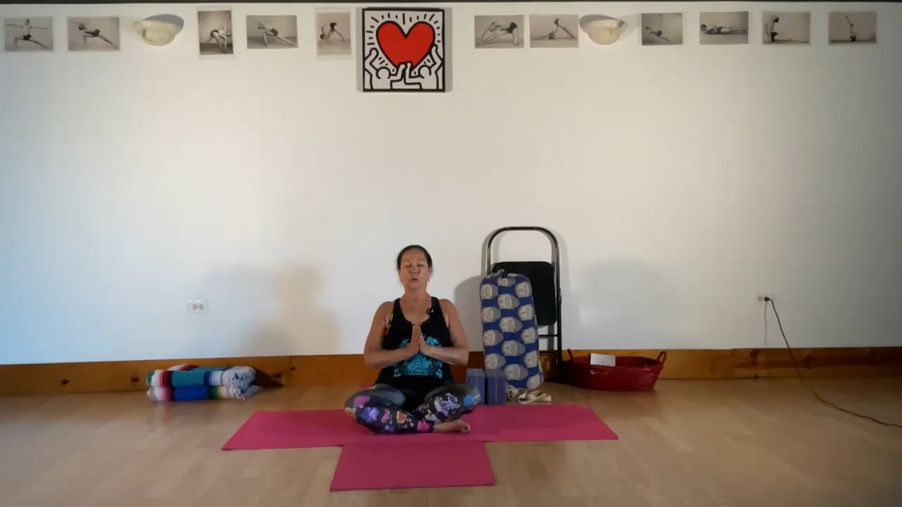 8-15-22 Iyengar Yoga: Balancing, strengthening, stretching one leg poses: lying and standing, with inversions.