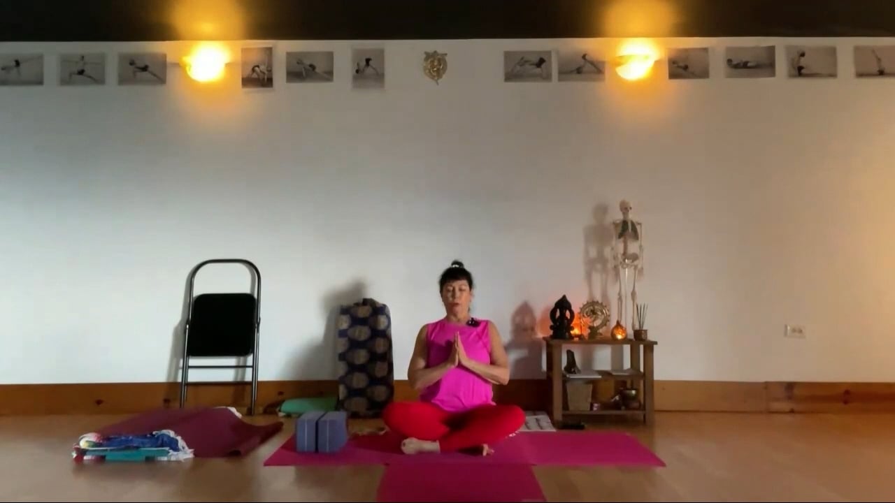 2-14-24 Focus on actions of the pelvis-backbends and abdominals.