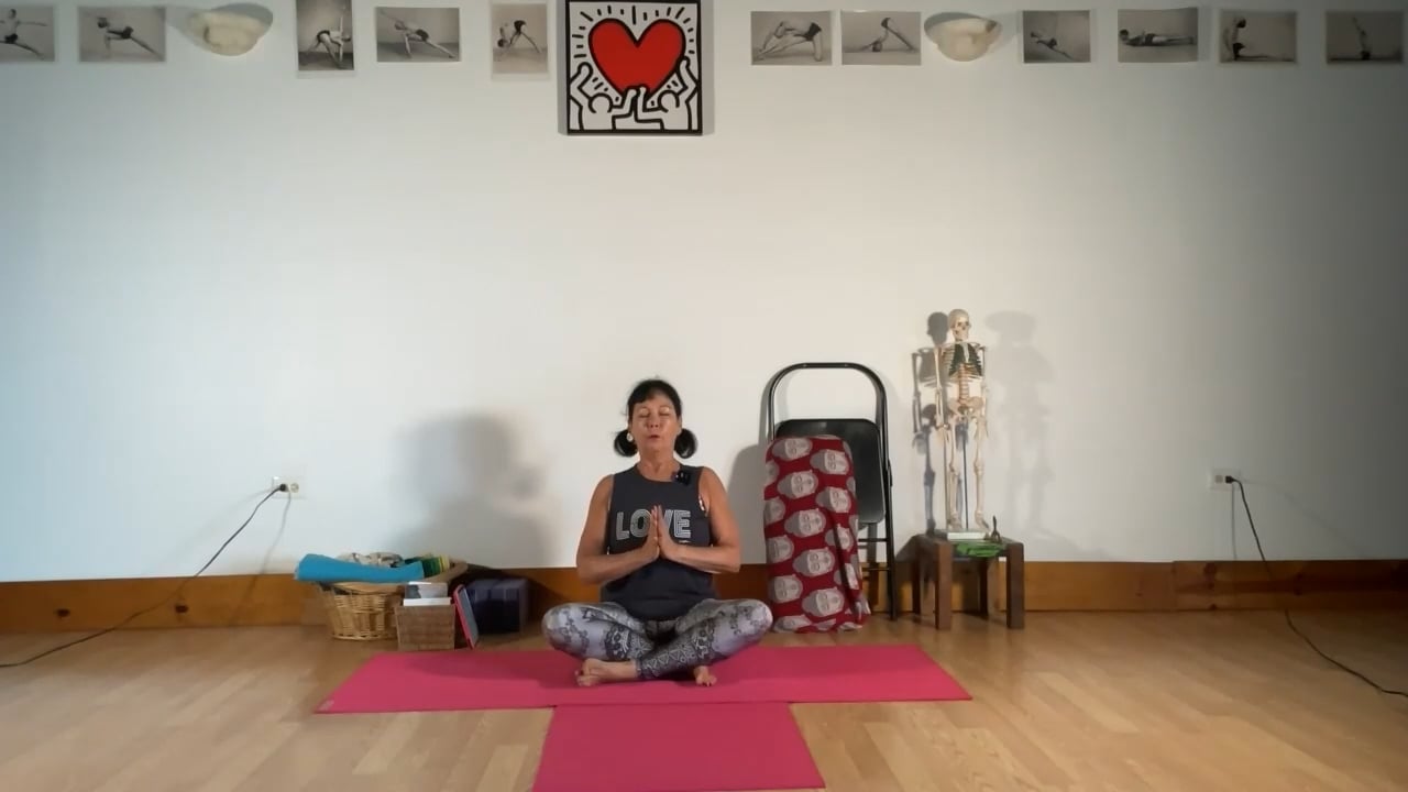 2-22-23  Focus on deltoid spread with lifting anterior tailbone. Uplifting energy and mood.