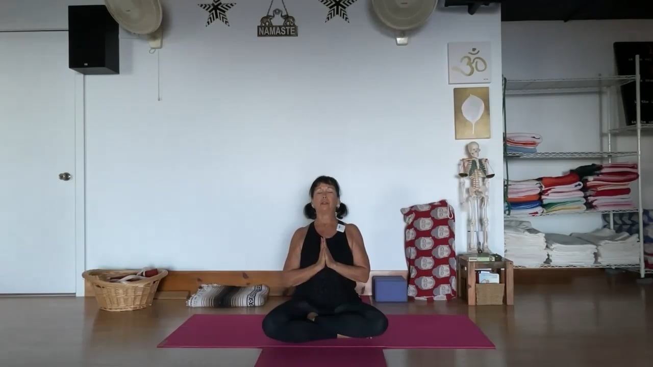 1-6-23  Iyengar Yoga: Focus on feet, hands, elbows, knees