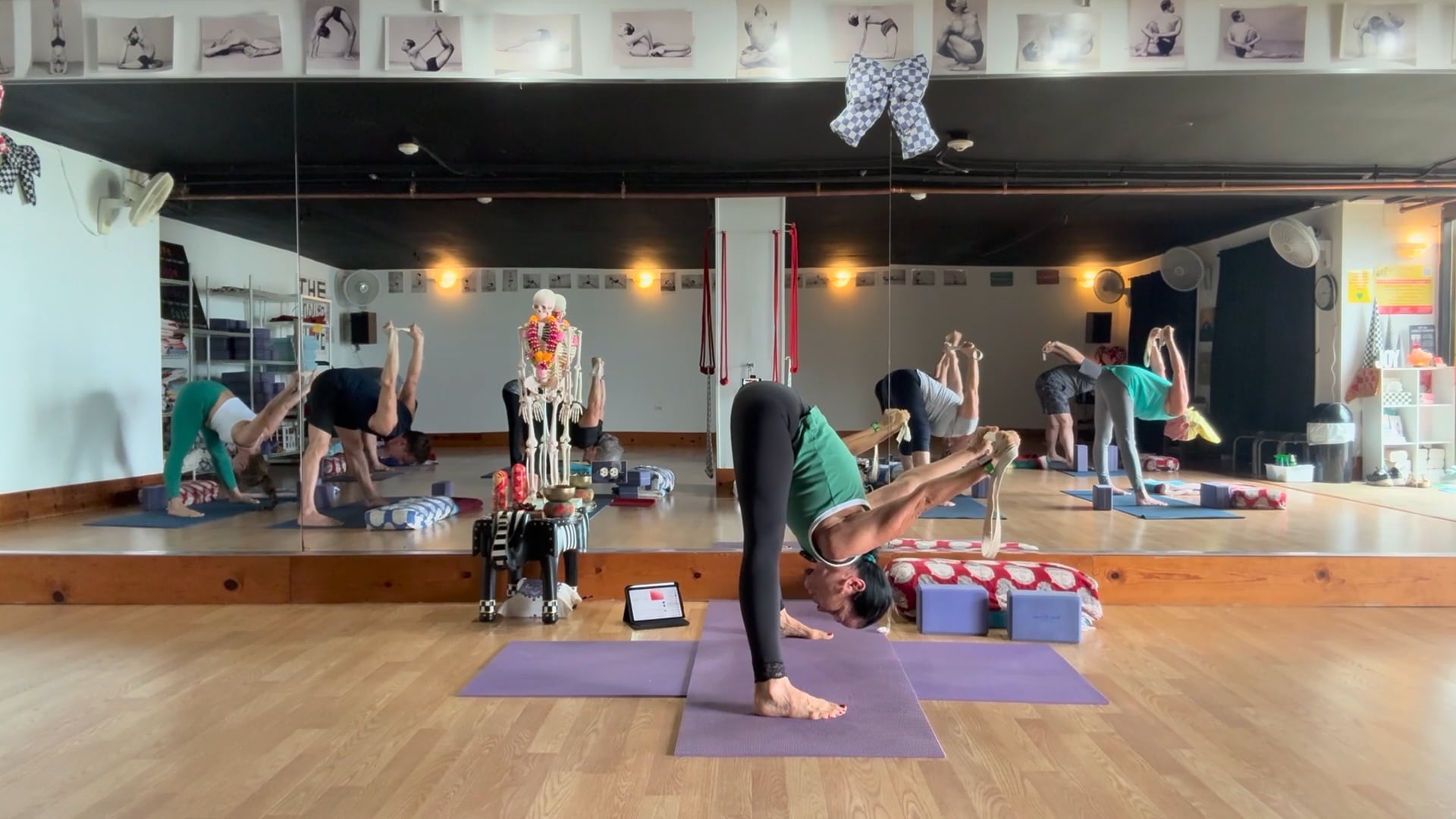 3-17-26 Iyengar Yoga-Beginner: Exploring alignment and mobility through the hands, elbows, shoulders, and hips.