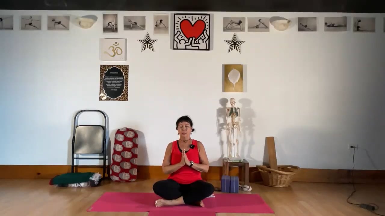 10-31-22 Iyengar Yoga: Compacting the pelvis to turn the rib cage and shoulders in a seated and standing twist and inversions.