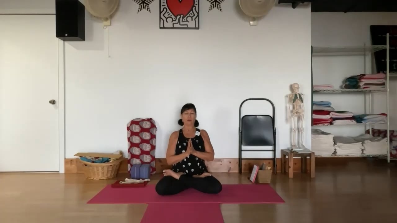 1-30-23 Iyengar Yoga: Focus on center of spine on side body, supine, prone, arm balance.