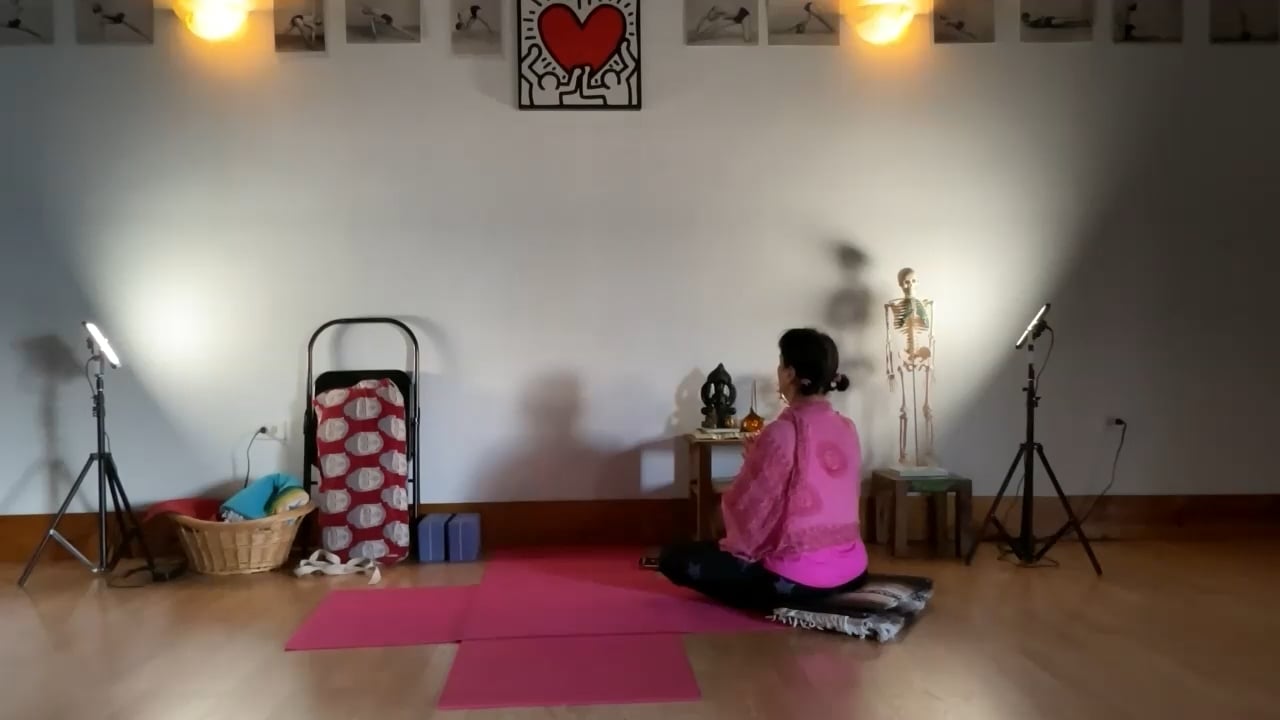 3-3-23 Iyengar Yoga: Focus on the side hip/spine/shoulder in a standing twist.