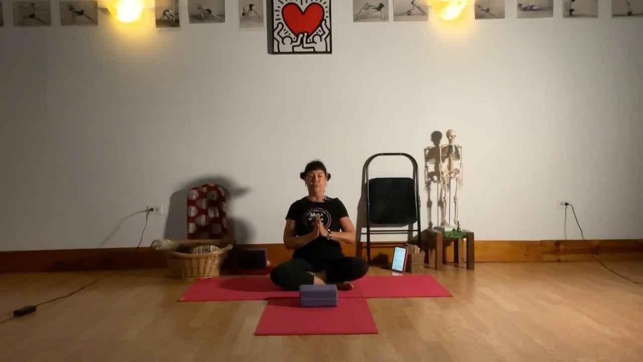 2-17-23  Iyengar Yoga: Focus on the preparation of arms/legs for lunges with back arching.