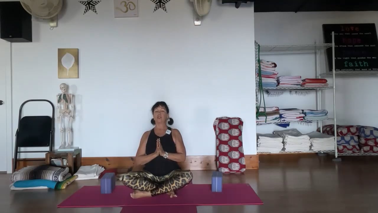 11-25-22 Iyengar Yoga: Building for sitting and lying pranayama: standing, back arching and forward extending.
