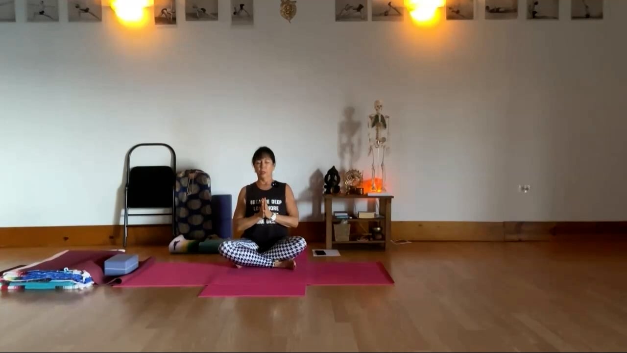 11-10-23  Iyengar Yoga: Focus on slow flow strength-building and mobility, working side body.