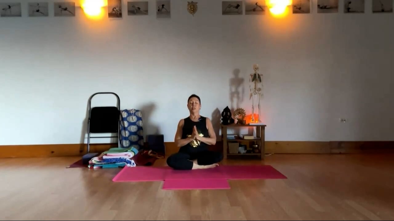 12-9-23 Iyengar Yoga: Focus on seated twists with horizontal standing poses.