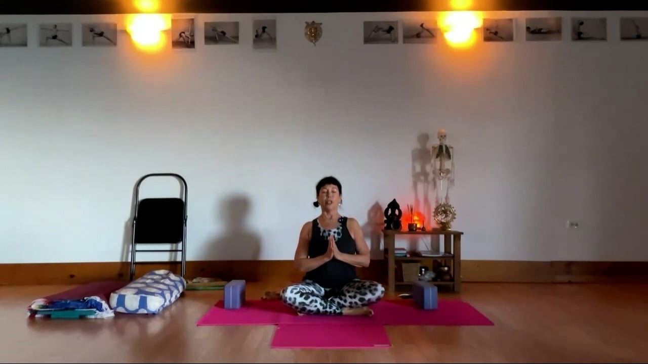 2-12-24 Iyengar Yoga: Dedicate a breath to an action of alignment and balance with standing and seated twist.