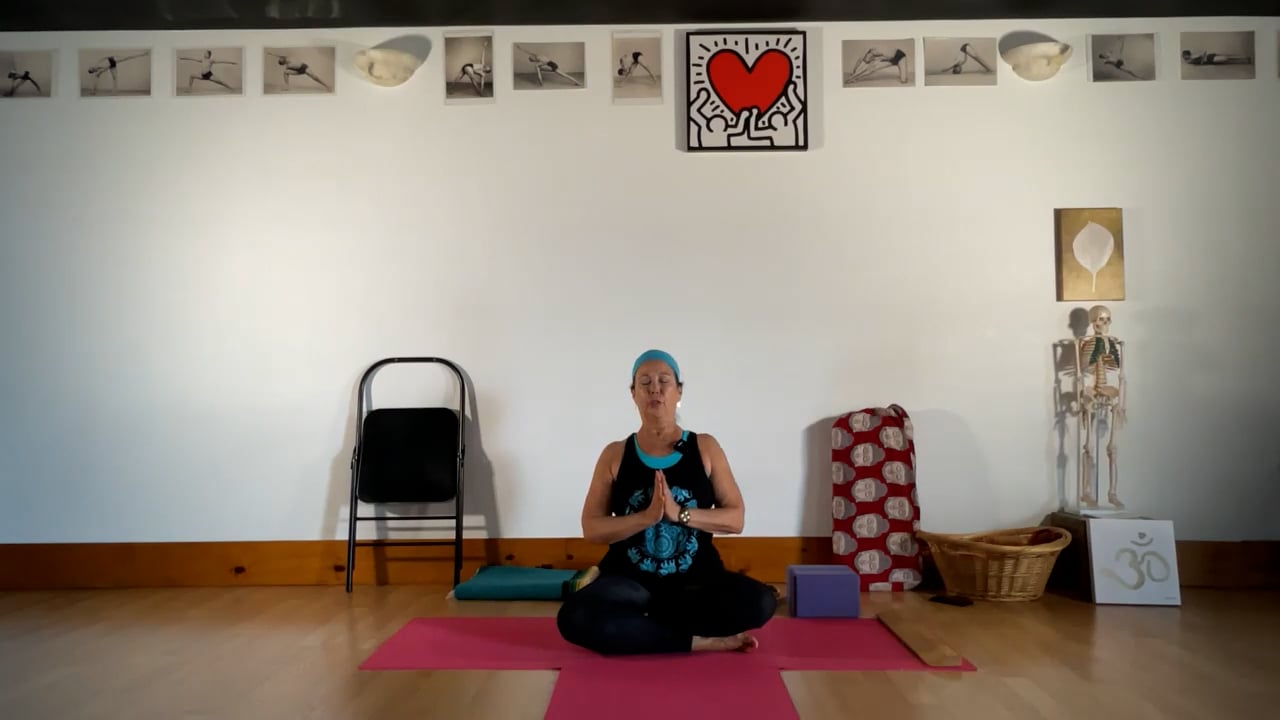 4-27-22 Iyengar Yoga: Standing, and sitting poses from the outer body to the softening of the inner body.