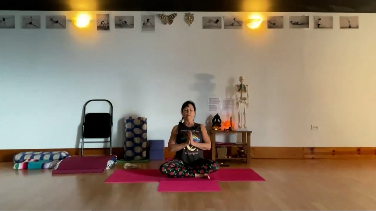 2-21-24 Iyengar Yoga: Focus on preparations for inversions.