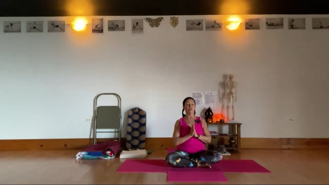 3-29-24 Iyengar Yoga: ALOHA FRI strength, standing, outer hip, inversions.