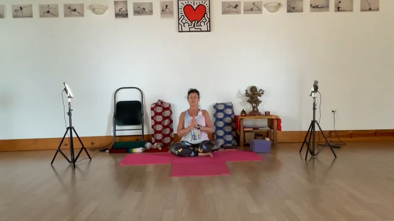 4-20-23: Iyengar Yoga: Hip stretching and strengthening standing and supine.