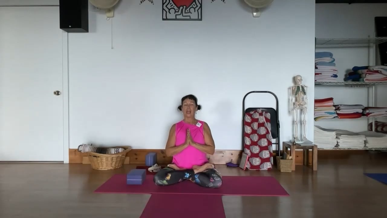 2-8-23  Iyengar Yoga: Focus on the side spine and hip with extension and twisting.