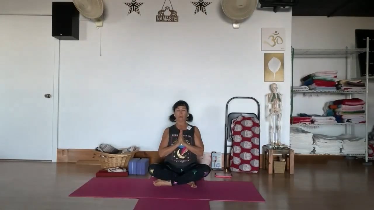 1-23-22  Iyengar Yoga: Pelvis/lumber inward to lift the sternum to a flat back with firm legs, balance poses, and twisting.