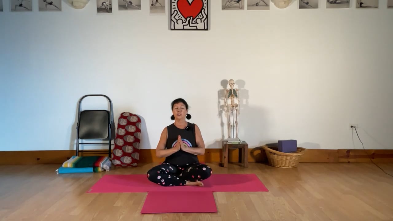 10-24-22  Iyengar Yoga: Tadasana is a foundation for inversions, standing poses, and one leg alternating.