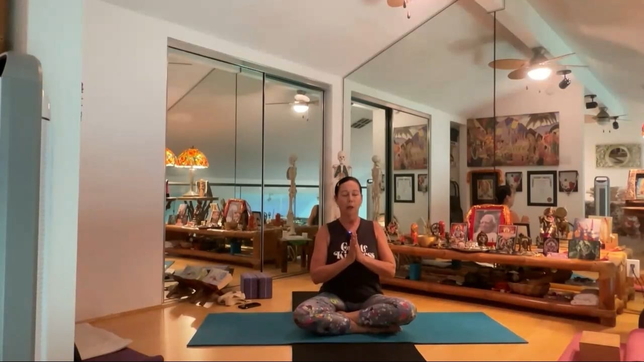 8-23-23 Iyengar Yoga: Focus on compactness in the pelvis/legs with balancing.