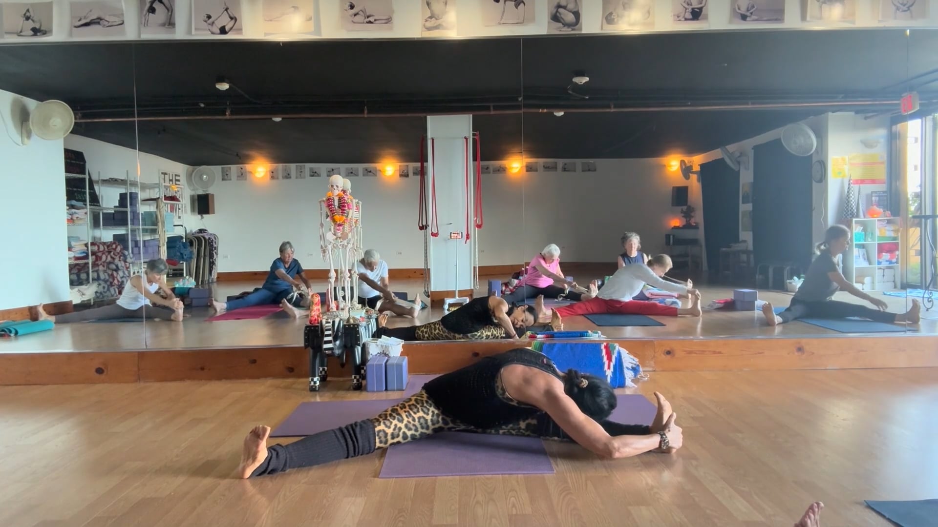 2-16-26 Iyengar Yoga All Levels: Connecting from the feet to the hands.