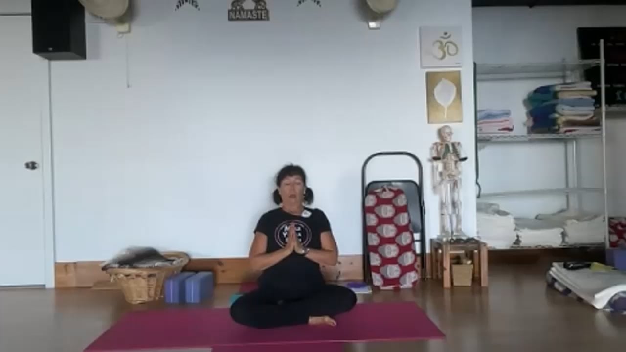 1-16-23 Iyengar Yoga: Rise up, get strong/flexible in joints for space/mobility.