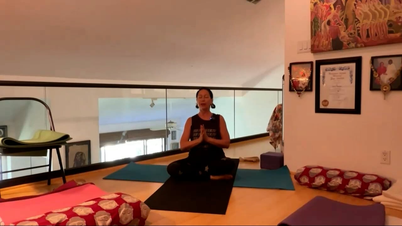 7-26-23  Iyengar Yoga: Focus on Tadasana actions in all asanas.