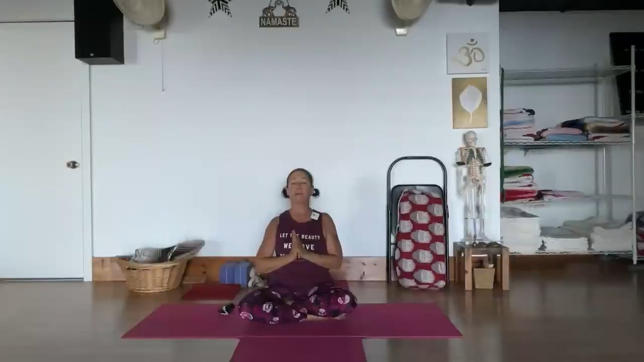 1-18-22 Iyengar Yoga: Back bending, coiling the spine, strengthening the back with twisting and forward bending preparation.