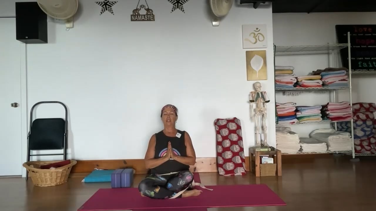 1-4-23  Iyengar Yoga: Focus on foundations of backbends and inversions with shoulder/pelvis strength/flexibility work.