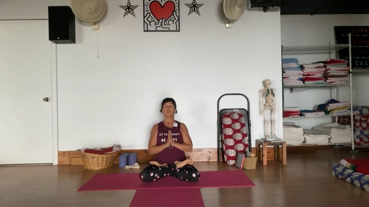 2-1-23  Iyengar Yoga: Focus on the midline of feet/hands, upper body strengthening, and twisting.