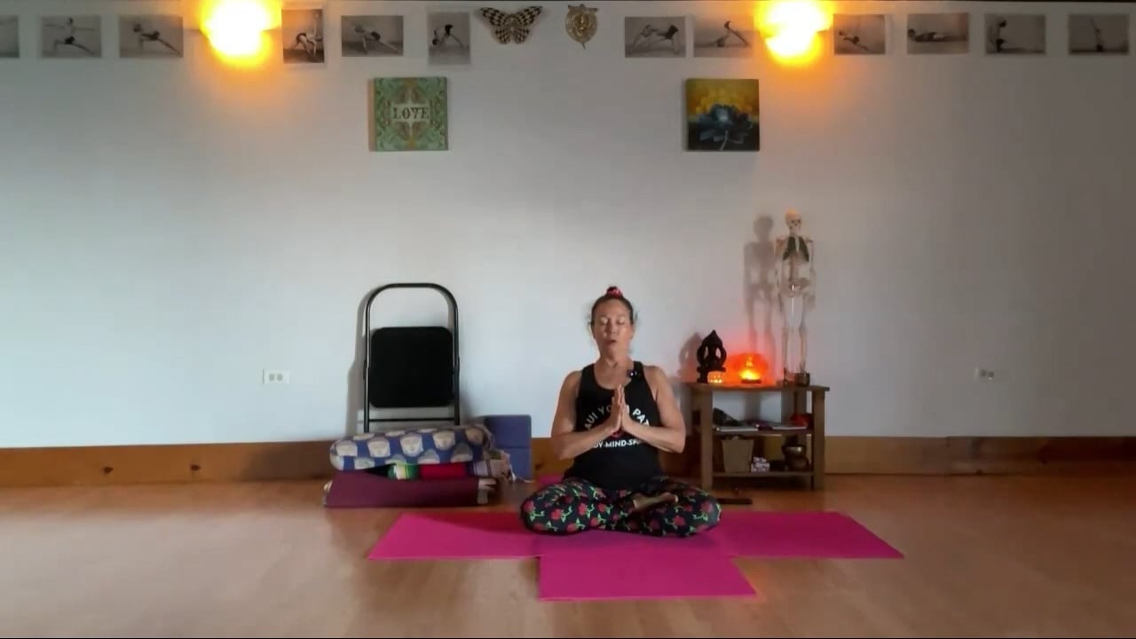 4-22-24 Iyengar Yoga: Focus on deepening the whole outer body inward for more strength and energy.