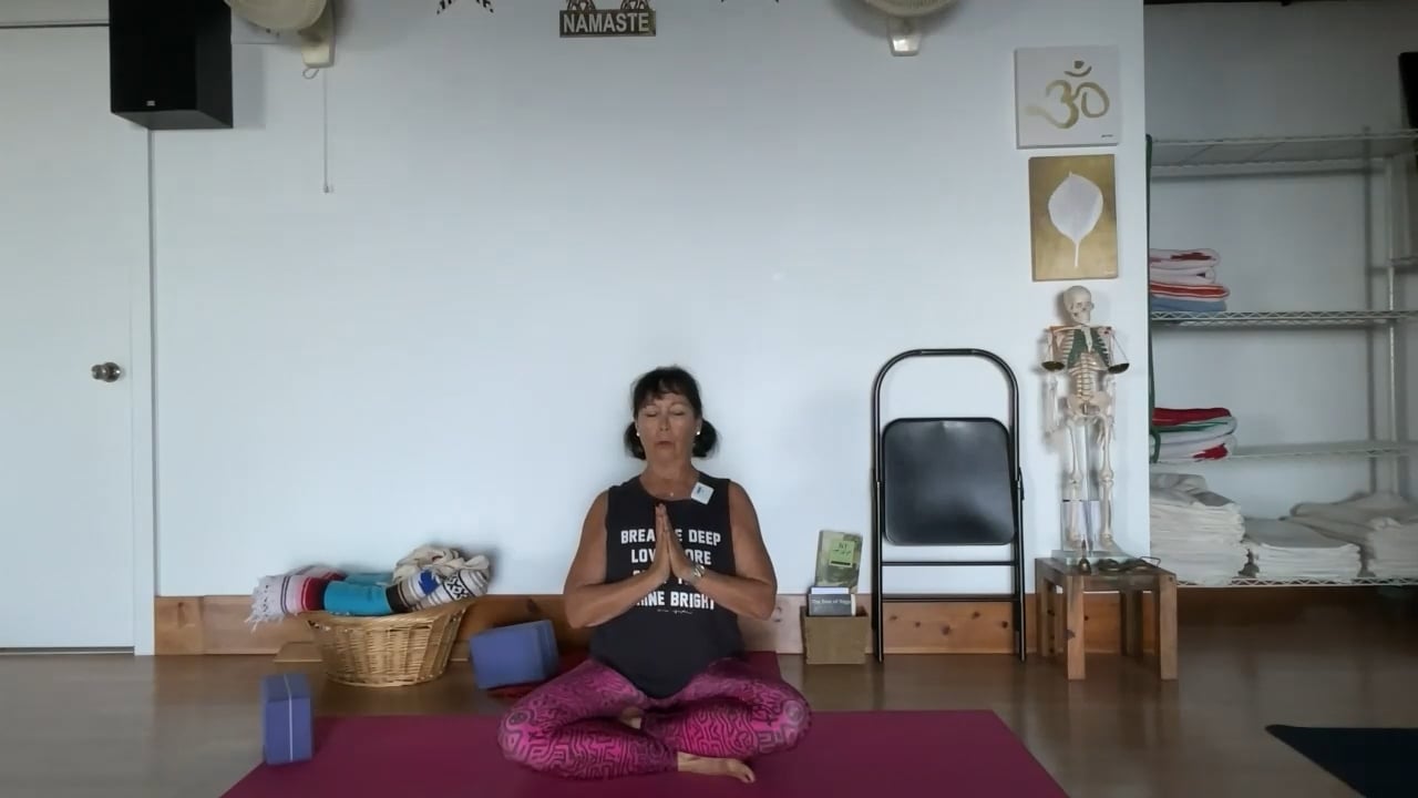 1-13-23 Iyengar Yoga: Focus on hands and feet as a entry into the asana, grounding from earth to extending to sky.