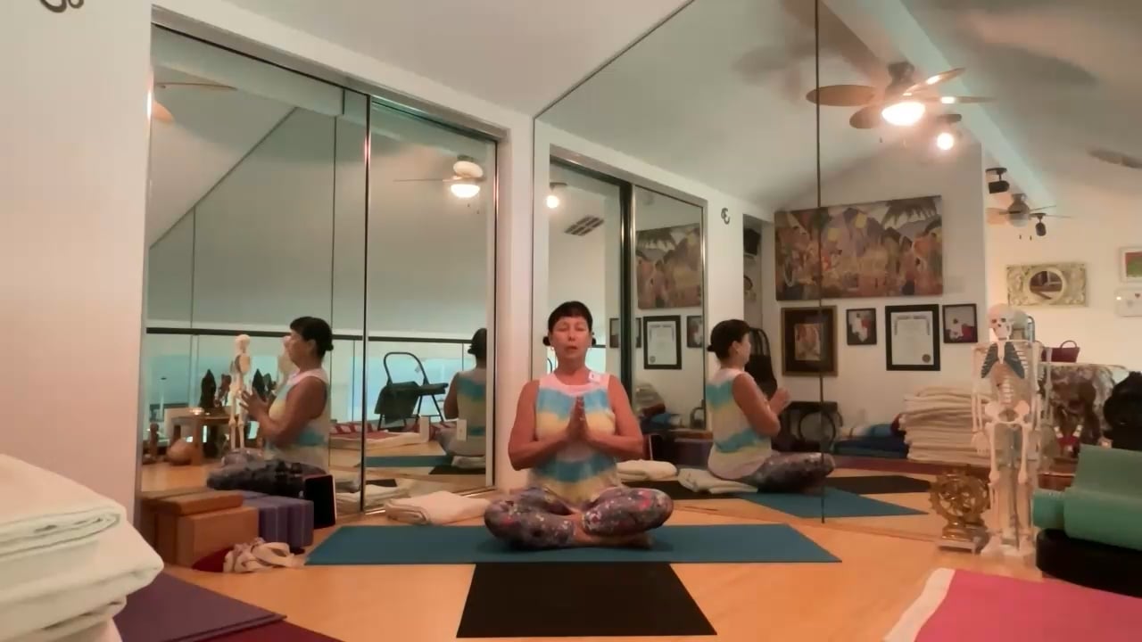 4-17-23 Iyengar Yoga: Focus on arm/shoulder and leg/pelvis insertion in sitting, standing, and inverting.