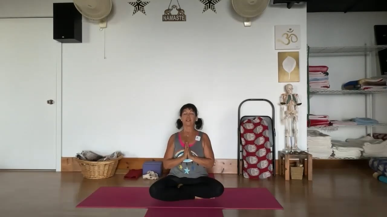 1-20-23 Iyengar Yoga: Focus on building up to inversions: strengthening arms and legs.