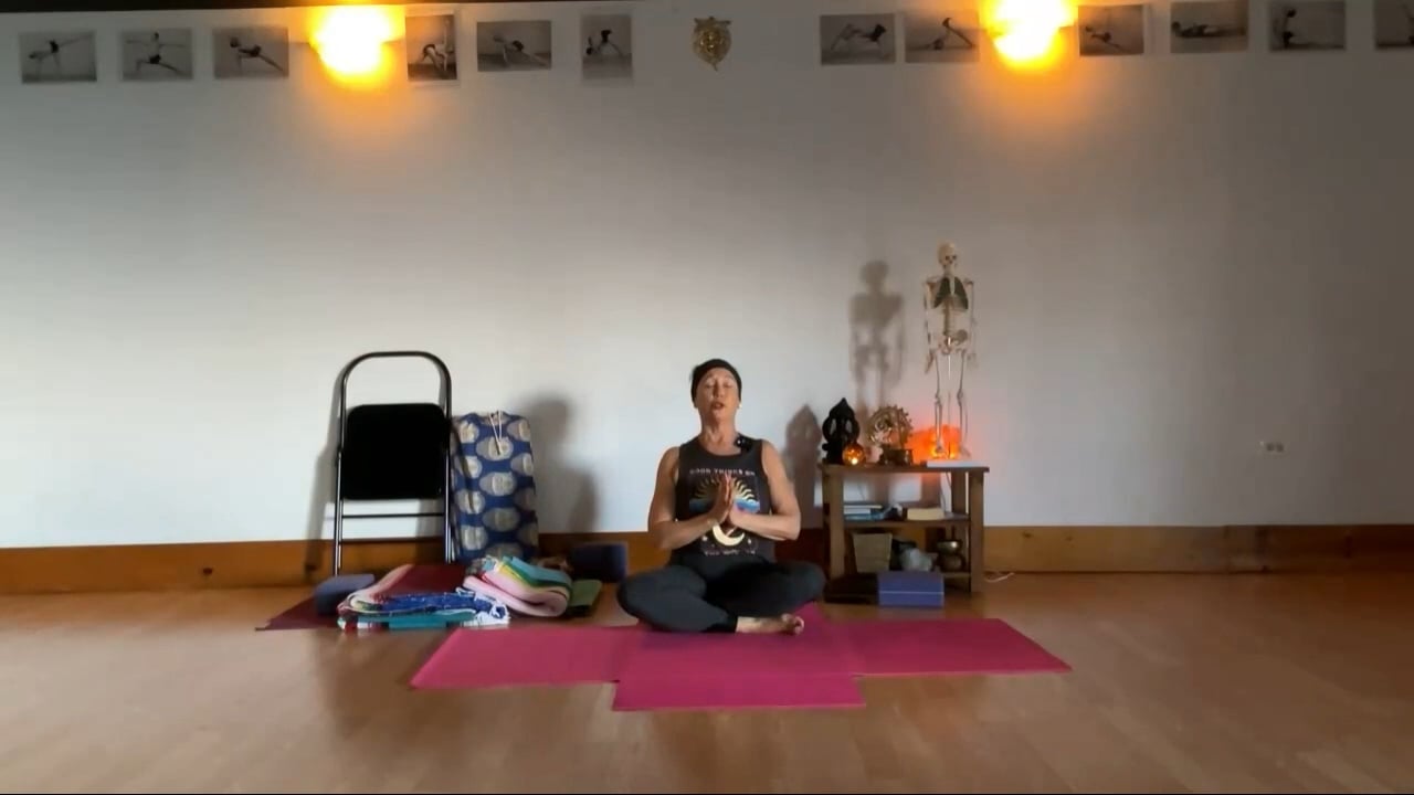 12-11-23  Iyengar Yoga: Focus on one-leg poses for strength and balance.