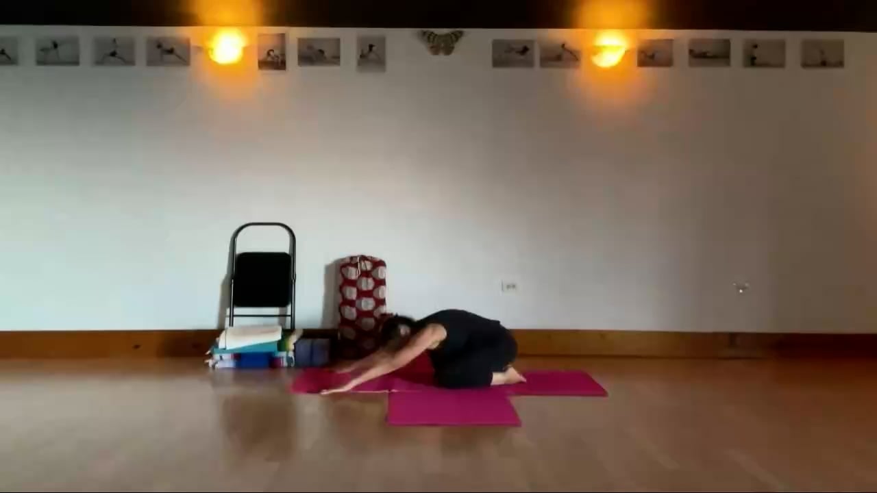 11-20-24 Iyengar Yoga: Focus on standing poses; lifting inner ankle, hips in, shoulders back.