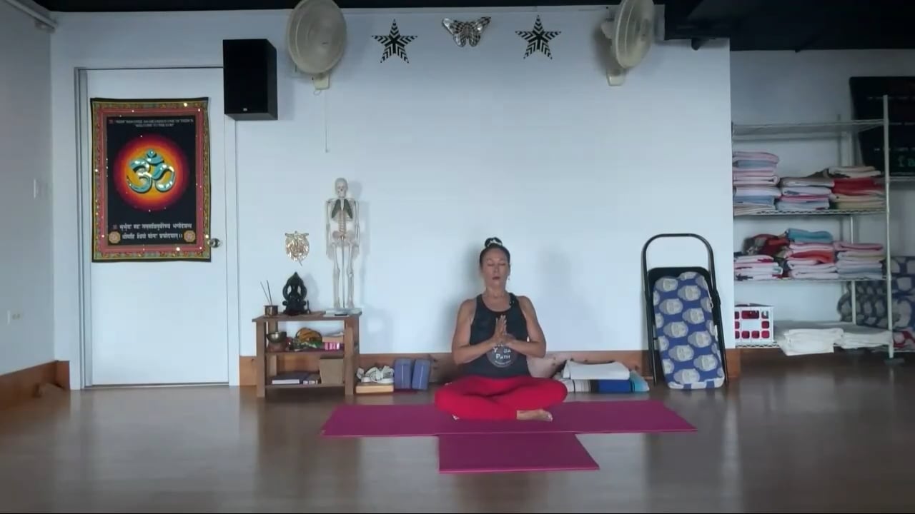 9-11-24  Iyengar Yoga: Repetition for shoulders and leg/hip movements when standing, seated, and inversions.