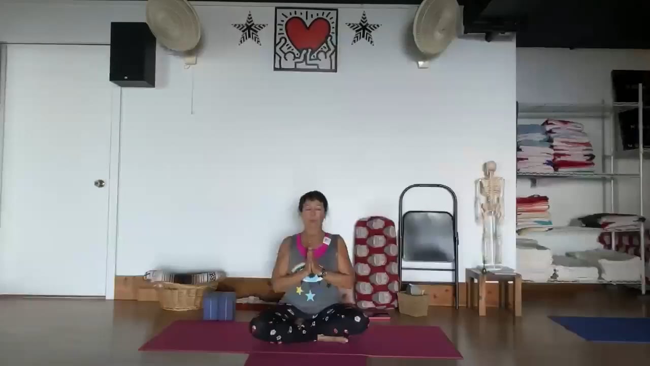 2-6-23 Iyengar Yoga: Focus on the midline of the spine with emphasis on the pelvis and shoulder alignment.